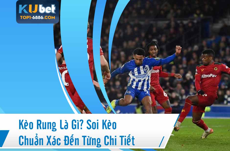 Tất tần tật thông tin về kèo rung kubet dành cho newbie