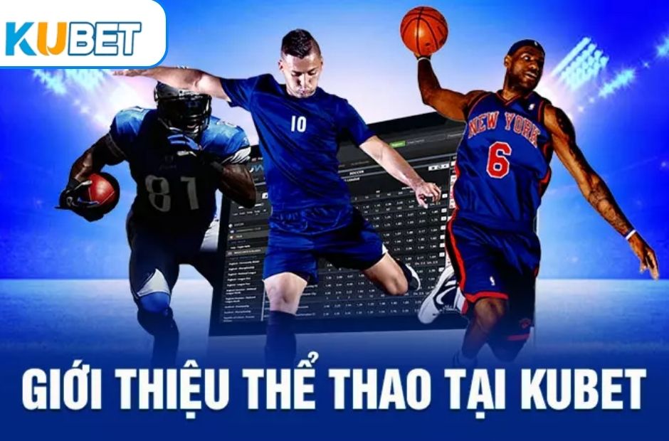 Khám Phá Ku Thể Thao - Cách Chơi Giành Thắng Lớn 3 Tìm hiểu cá cược thể thao